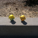 Image for article titled The Ultimate Smartphone Camera Battle